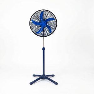 sunny-walk-fan